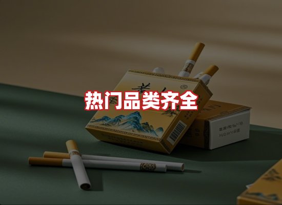 专业团队